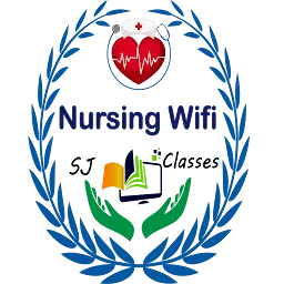 Nursingwifi.in Favicon