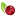 NutrativaGlobal.com Favicon