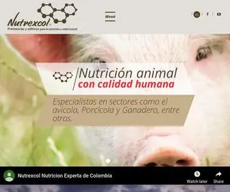 Nutrexcol.com(Nutrexcol) Screenshot