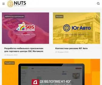 Nuts-Agency.ru(Занимаемся интернет) Screenshot