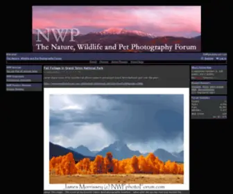 NWPphotoforum.com(The Nature) Screenshot