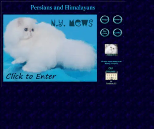 Nymews.com(Persian and Himalayan Cats) Screenshot