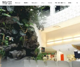 Nyuugan-Plaza.com(乳がんを分かりやすく解説) Screenshot
