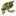 NZfrogs.org Favicon