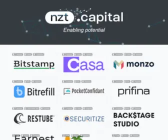 NZT.capital(NZT capital) Screenshot