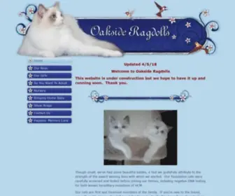 Oaksideragdolls.com(Oakside Ragdolls Cattery Ragdoll Kittens for sale Florida) Screenshot
