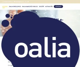 Oalia.com(Solutions Logicielles pour Système d'Information Achat) Screenshot