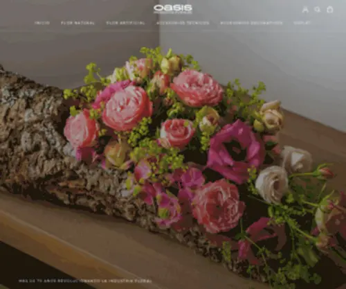 Oasisfloral.es(Esta es la web de OASIS®) Screenshot