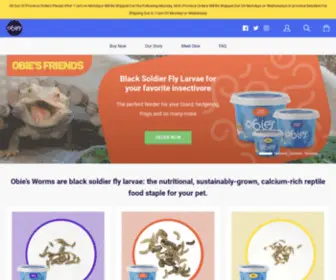 Obiesworms.com(Obie’s nutritious BSFL feeders for your reptile and insectivore pets) Screenshot