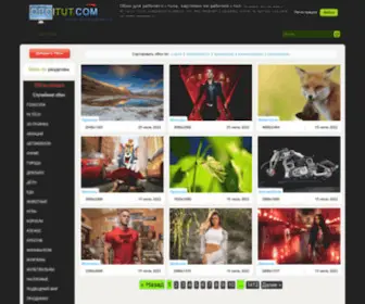 Oboitut.com(обои) Screenshot