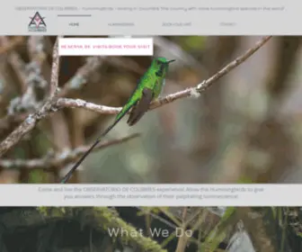 Observatoriodecolibries.com(Observatoriodecolibries) Screenshot