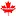 Ocanadagear.com Favicon