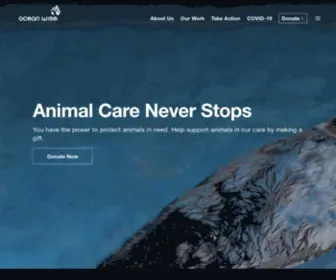 Ocean.org(A not) Screenshot