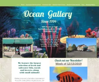 Oceangallery22.com(Oceangallery) Screenshot