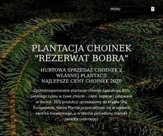 Ochoinki.pl(Choinek z plantacji) Screenshot