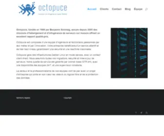 Octopuce.fr(Serveurs et infogérance haute) Screenshot