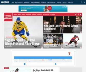 Octopusthrower.com(A Detroit Red Wings Fan Site) Screenshot