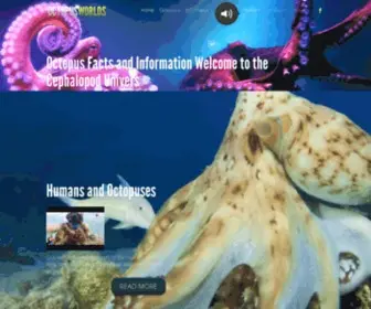 Octopusworlds.com(Octopus Facts and Information) Screenshot