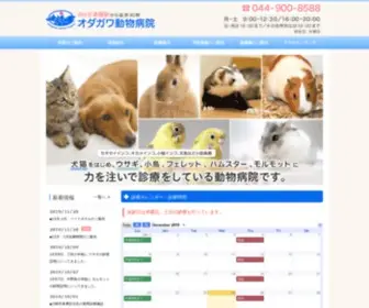 Odagawa.net(川崎市で動物病院をお探しなら) Screenshot