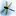 Odonata.eu Favicon