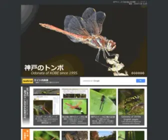 Odonata.jp(神戸のトンボ Odonata of KOBE since 1995) Screenshot