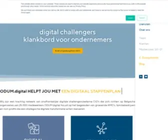 Odum.digital(We are a powerful network of independent digital challengers / external CIOs) Screenshot