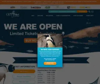 Odyseaaquarium.com(The largest aquarium in the southwest) Screenshot