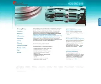 Odzyskiwanie-Danych.com.pl(Odzyskiwanie danych Kraków) Screenshot