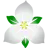 Oesasia.org Favicon