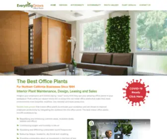 Officeplants.com(Best Office Plants) Screenshot