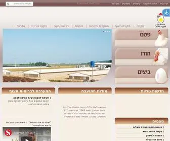 Ofotm.org.il(מועצת) Screenshot