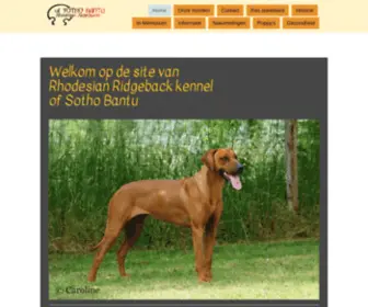 Ofsothobantu.com(Welkom op de site van Rhodesian Ridgeback kennel of Sotho Bantu) Screenshot