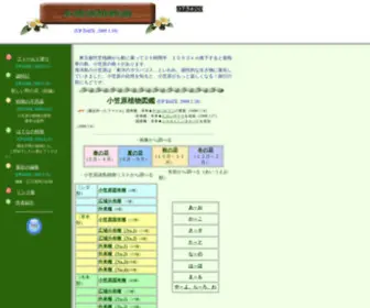 Ogasawara-Syokubutusi.com(小笠原植物誌) Screenshot