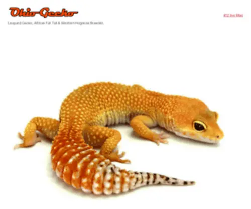 Ohiogecko.com(Ohio Gecko) Screenshot