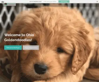 Ohiogoldendoodles.com(About Goldendoodles) Screenshot