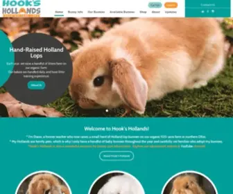 Ohiohollandlops.com(Ohio Holland Lops) Screenshot