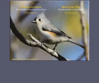 Oiseaux.ca(Photographies d´oiseaux) Screenshot