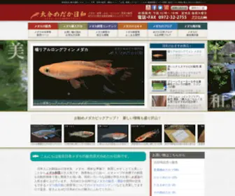 Oitamedakabiyori.com(メダカ) Screenshot