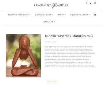 Olaganustukanitlar.com(Olağanüstü Kanıtlar) Screenshot