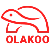 Olakoo.com Favicon