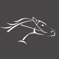 Oldmillsaddlery.com Favicon