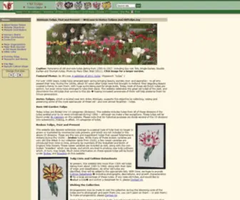 Oldtulips.org(Old Tulips) Screenshot