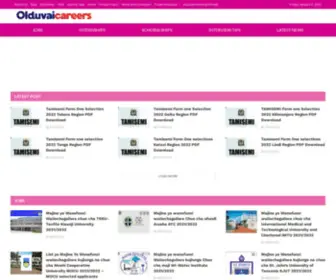 Olduvaicareers.com(Home) Screenshot