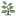 Olint.com Favicon