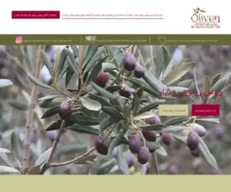 Oliven.ir(خرید روغن زیتون) Screenshot