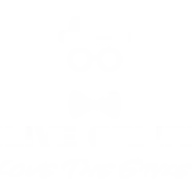 Oliveonline.com Favicon