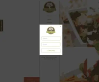 Oliveterracebarandgrill.com(Olive Terrace Bar & Grill) Screenshot