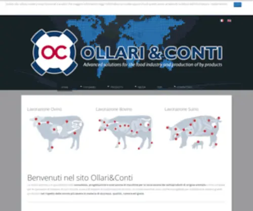 Ollarieconti.it(Ollari & Conti) Screenshot