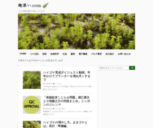 Omomukibukai.com(Omomukibukai) Screenshot