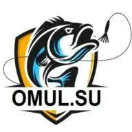 Omul.su Favicon